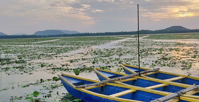 Kondakarla Bird Sanctuary